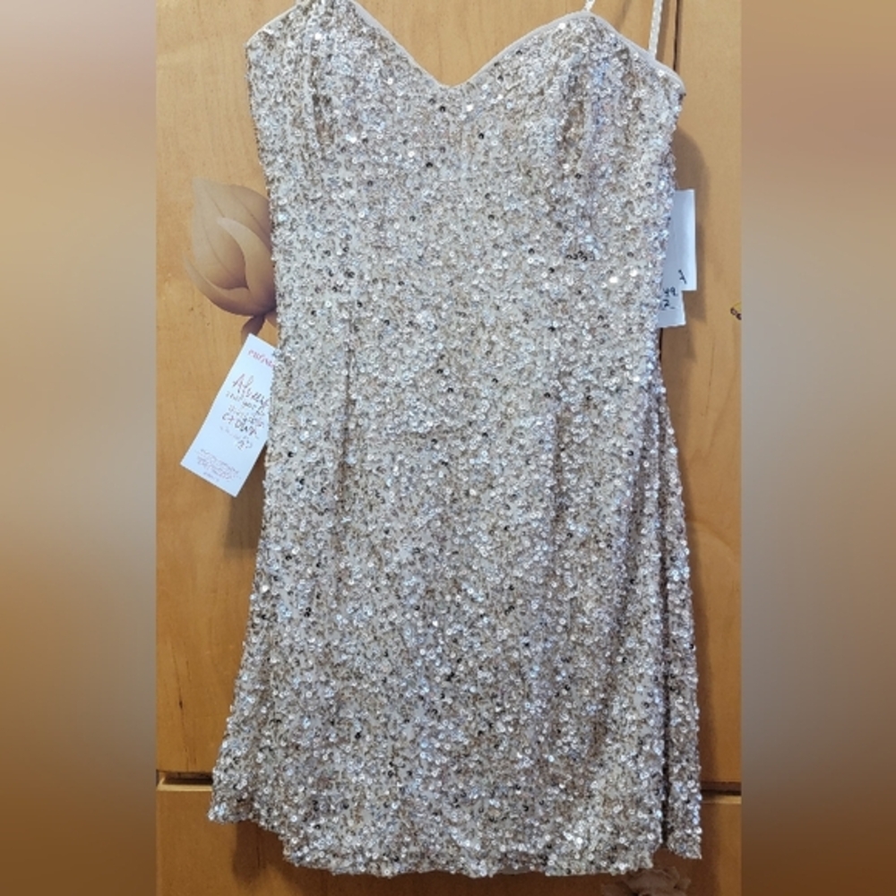 Scala Silk Sequins dress.